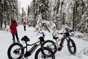 Anchorage Winter Fat Tire Bike Tour