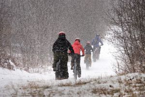  Bike rental - Treetop Walk package (4-6h)