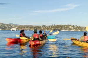 Scenic Sausalito Kayak Tour: Beginners Welcome 