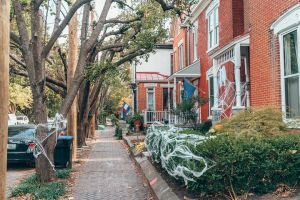 Secrets of Louisville Food & History Tour in NuLu