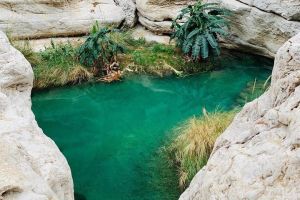 Private tour in Muscat and Wadi Shab