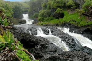 Ultimate Hana Full Day Adventure Maui Tour from Kahului