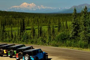 Denali Highway Jeep Excursion - 4 Hour Tour