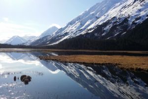 Seward to Anchorage Cruise Transfer/Tour - Greatland Adventures