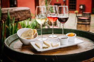 Malvasía-Wine tasting of Tenerife wines and locas products