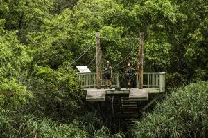 Jurassic Valley Zipline 