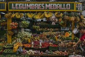 Exotic Fruits Tour Medellín – Taste Colombia’s Biodiversity