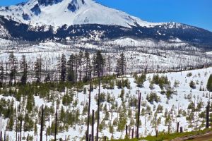 2hr - High Cascades Scenic ATV Tour near Bend, Oregon