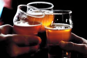 Guided Craft Beer Tour in Niagara