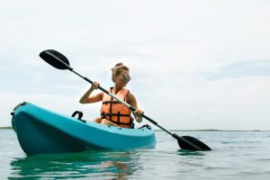 Guided Kayak Tour to Wild Horse Island