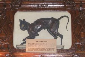 Milwaukee Downtown Ghost Tour - The Shadow of City Hall