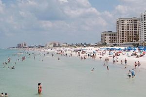 Clearwater Day Trip & Sea Screamer Ride with Optional Lunch