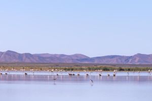 6 Days Morocco tour from Casablanca