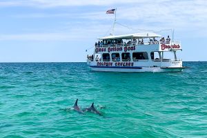Destin Daytime Dolphin Cruise