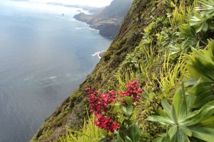 Parque Nacional Archipielago Juan Fernandez