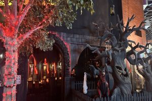 IMG Worlds of Adventure: The Ultimate Indoor Theme Park