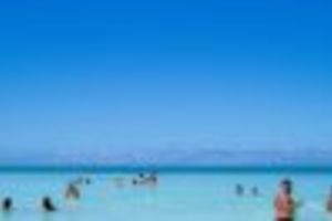 From Santo Domingo: Isla Saona Full-Day Tour with Lunch