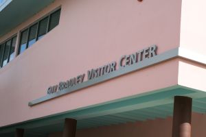 Flamingo Experience: Guided Journey through the Everglades