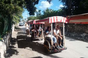 Maya Heritage: From Rituals to Daily Life. Visit the Maya Community