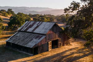 Gainey 1891 Barn Tour & Tasting