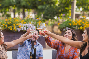 10+ Large Group Wine Tasting 