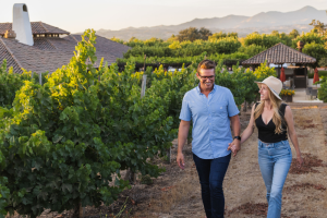  Patrick’s Vineyard Tour and Tasting