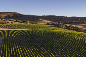 Evan’s Ranch Tour & Tasting