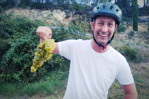 From Sitges: Wine and Bike Tour with hotel pick up.