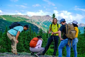 Wilderness Wonders Denali Hiking Tour