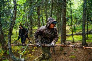 Survival Denali Hiking Tour