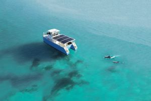 Key West Private Catamaran Charter Excursion