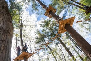 Tree Top Climbing and Zipline Experience near Boston