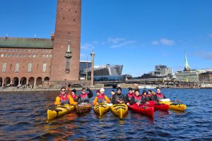 Stockholm: Winter Kayak Tour with Local Guide