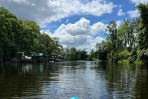 Jacksonville FL: Ortega River Paddle Board Excursion