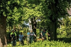 Stellenbosch Luxury Winelands EBike Tour ©