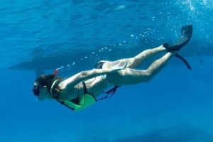 Mauna Kea Two-Stop Sealife Snorkel