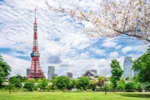 Best of Tokyo Full Day Walking Tour – Small Group