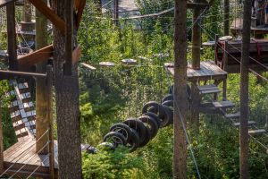 Aerial Zipline Park | West Glacier, Montana