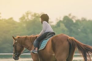 Private Horseback Trail Ride near Sacramento - Weekend