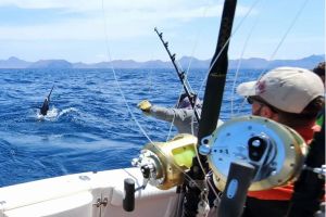 Deep Sea Fishing Charters Adventure