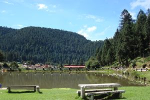 Forest Adventure ATV, Zipline & Horseback Tour CDMX