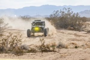 Camel Ride & UTV + Tequila Lunch in Baja California Sur