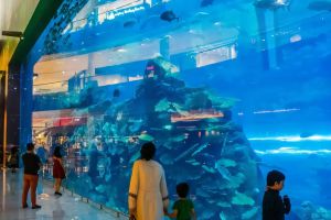 Dubai Aquarium & Underwater Zoo