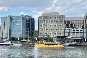 San Francisco Super Saver: Grand City Tour plus Muir Woods & Sausalito Day Trip