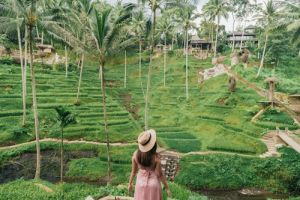 Alas Harum Bali: Admission Ticket