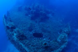 Salida de Buceo a Boreas