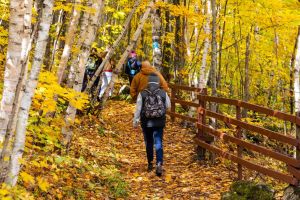 Blue Mountains Fall Colours from Toronto–Village or Caves
