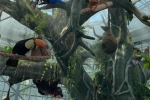 The Green Planet Dubai Tickets