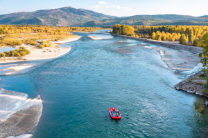 Jackson Hole Scenic Float on the Snake River
