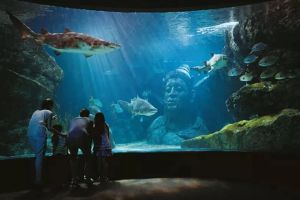 SEA LIFE Bangkok Ocean World Tickets